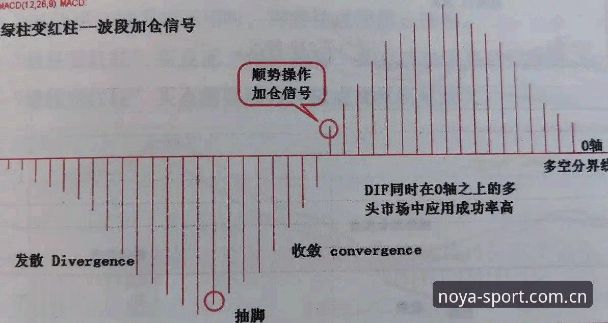 诺亚体育平台实操指南：从下载到实时追踪的必备知识